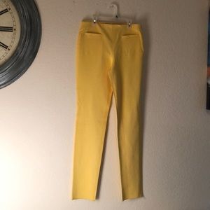 Yellow Versace Pant